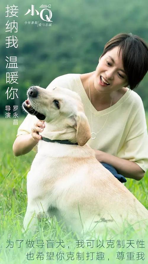 买张日本岩手县立大学文凭毕业证